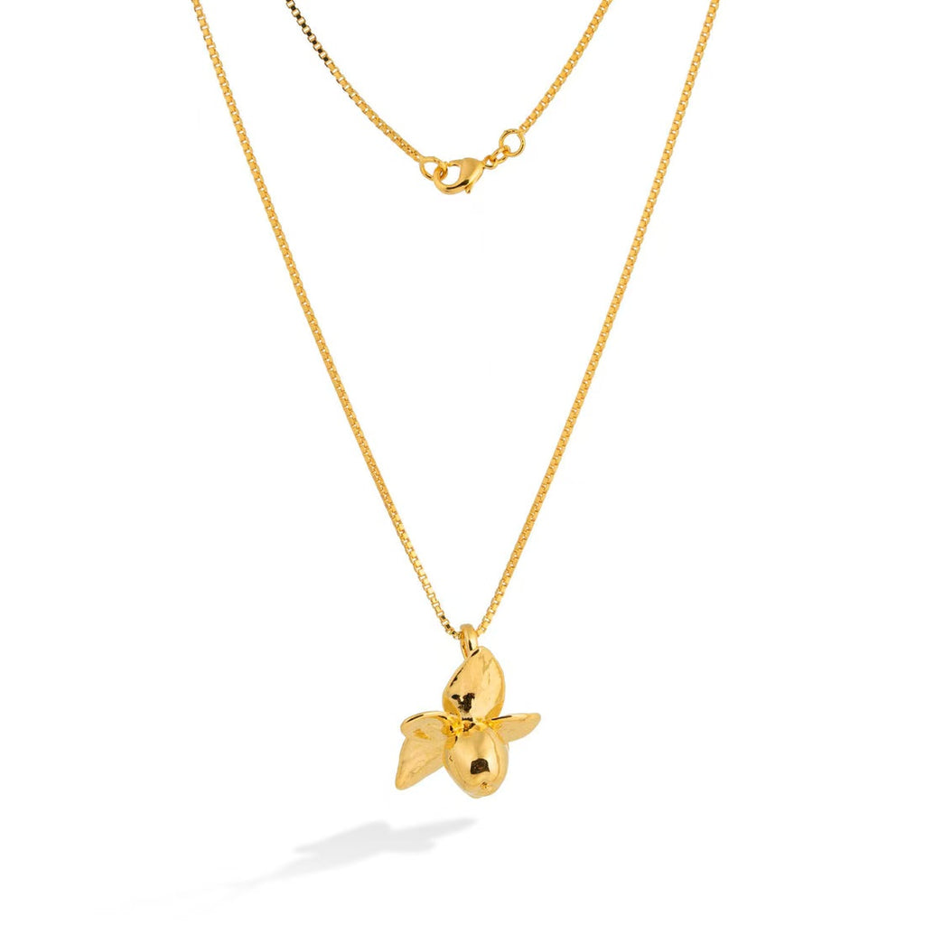 Miyama Biojoias Hypericum Necklace