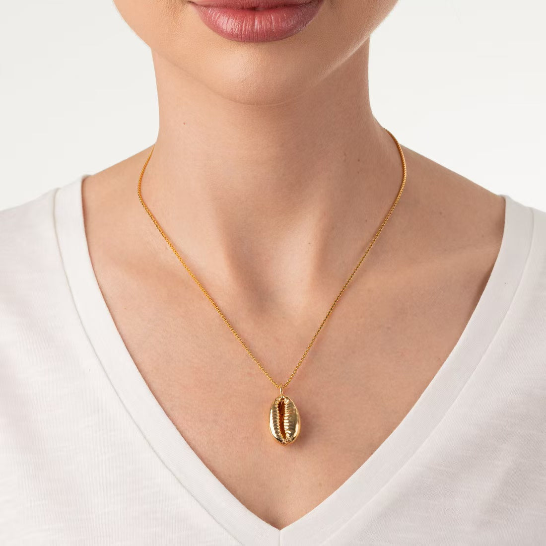 Miyama Biojoias  Cowrie Shell Necklace